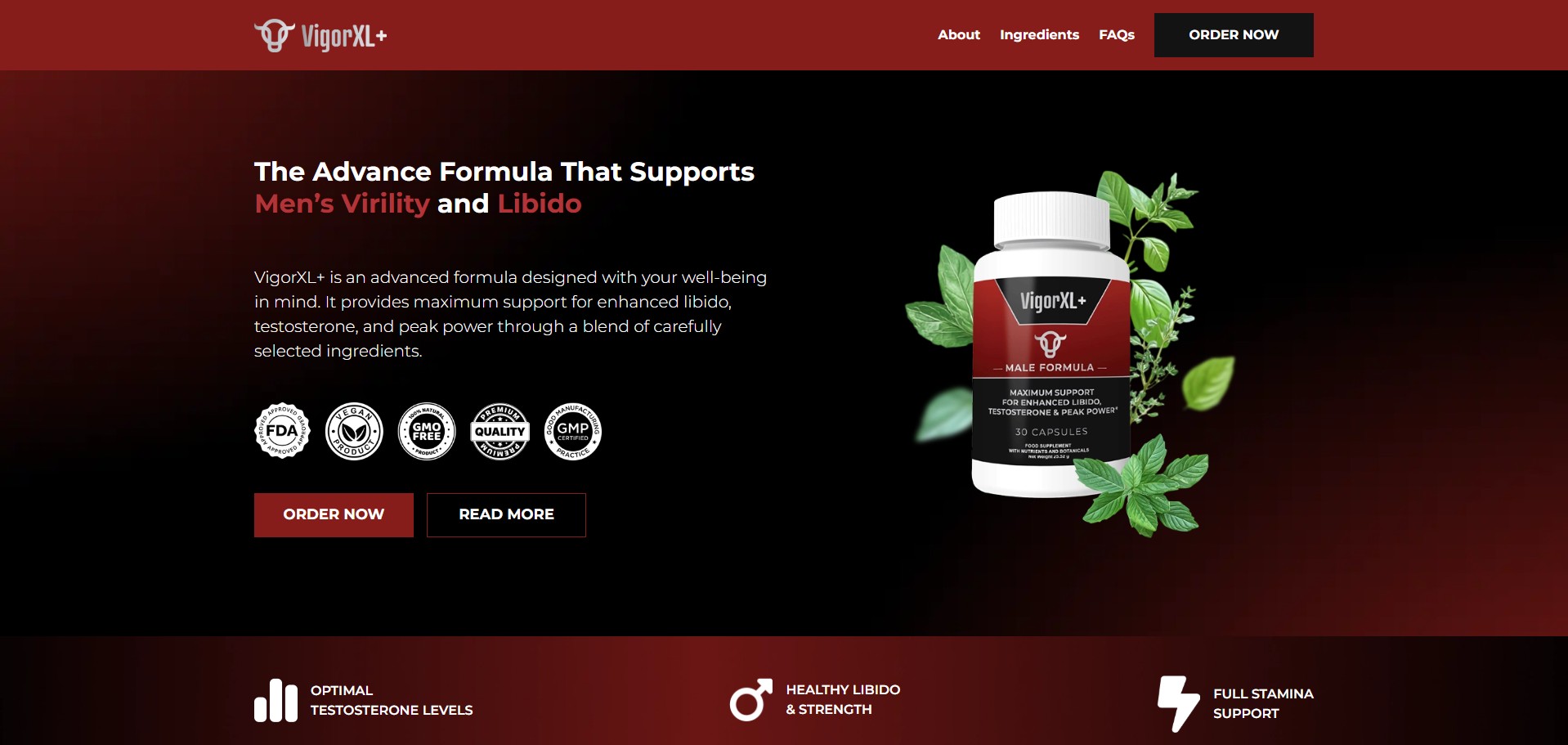VigorXL Produs